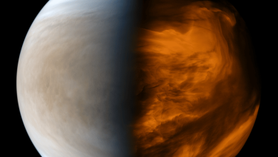 Astrobiologists have found out whether the existence of life in the clouds of Venus is possible 1