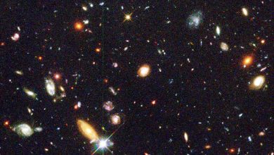 Astronomers have found that stars in distant galaxies are on average heavier than stars in the Milky Way