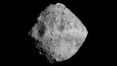 Building blocks of life were first discovered on an asteroid in space 1