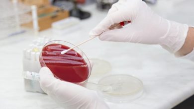 Chilean scientists find antibiotic resistant bacteria in Antarctica