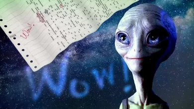 Chinese scientists may have received the first signal from aliens
