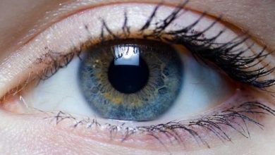 Could eye movements be the key to understanding memory
