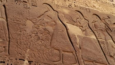 Counting the severed hands of enemies in ancient Egypt 1