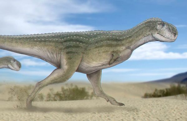 Cretaceous era carnivorous dinosaur discovered in the Sahara Desert 1
