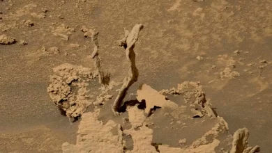 Curiosity rover captures unusual pillars on Mars