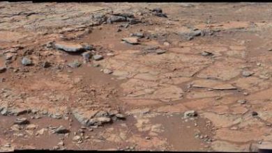 Curiosity rover takes inventory of key components of life on Mars