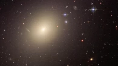 Dying galaxies in the early universe may have been killed by their supermassive black holes