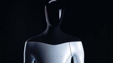Elon Musks artificially intelligent humanoid robot to be unveiled in September