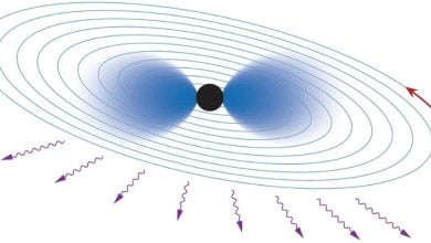 Finding new particles around black holes using gravitational waves