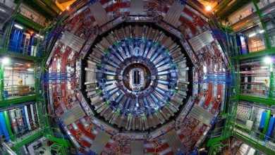 HSE has developed a monitoring system for the LHC experiment