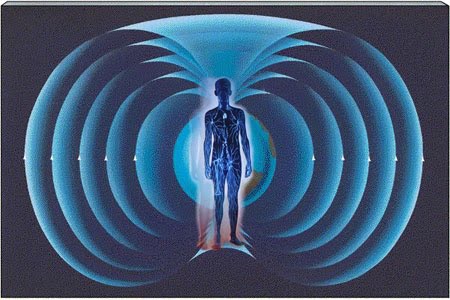 Human magnetic sense is due to a mechanism that depends on the resonance of light and magnetic field 2