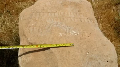 In Iran found a stone with a mysterious ancient symbol