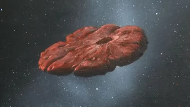 Intriguing Oumuamua origin hypothesis 1