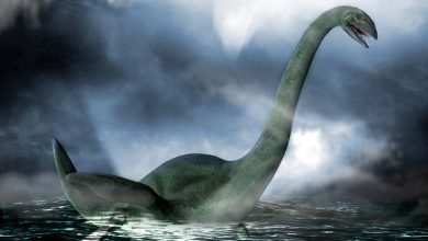 Legendary Loch Ness monster may be an alien from a parallel universe 1