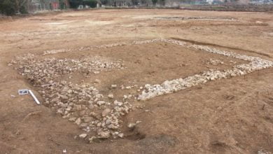 Luxurious Roman Villa discovered in France