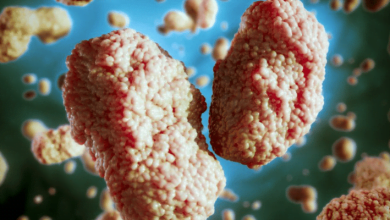 Monkeypox virus found in semen