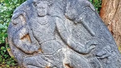 Mysterious stone idol discovered in India