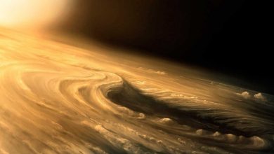 NASA probe finds solid surface on Jupiter