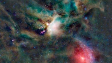 New extraordinarily detailed simulation of star formation in a giant molecular cloud