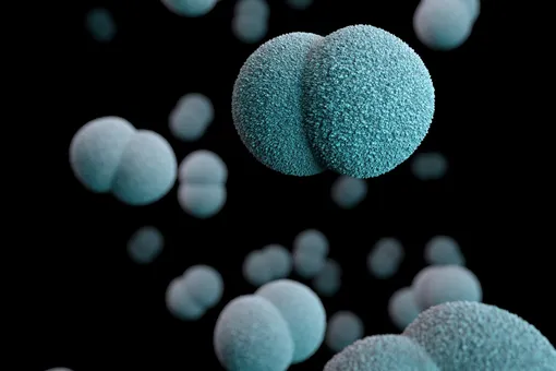 New strain of extensively drug resistant gonorrhea identified in Austria 1