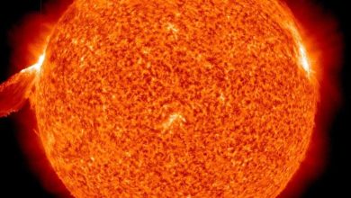 No need to panic a sunspot that doubles in size is not dangerous