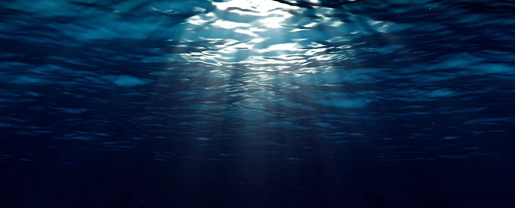 Ocean may store far less carbon than we hoped