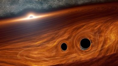 Photographs of black holes what can they tell us about the universe 1