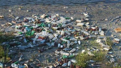 Plastic pollution could triple by 2060