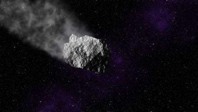 Scientists at the Arecibo observatory help solve the mystery of an unexpected asteroid