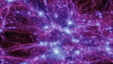 Simplest and most plausible theory about the origin of dark matter