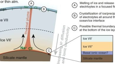 Simulation of the transport of electrolytes through the icy mantle into the ocean of a water rich exoplanet