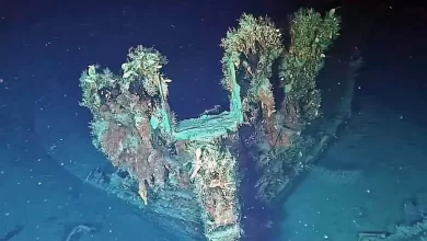 Treasure ships found off the coast of Colombia
