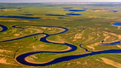 Unique Siberian tundra is on the way to complete disappearance from the face of the planet