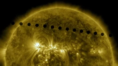 Venus crossed the suns face 10 years ago Most people alive will never see the sight again 1