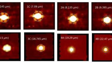 Webb spectroscopy in the mid infrared region will reveal molecules and elements