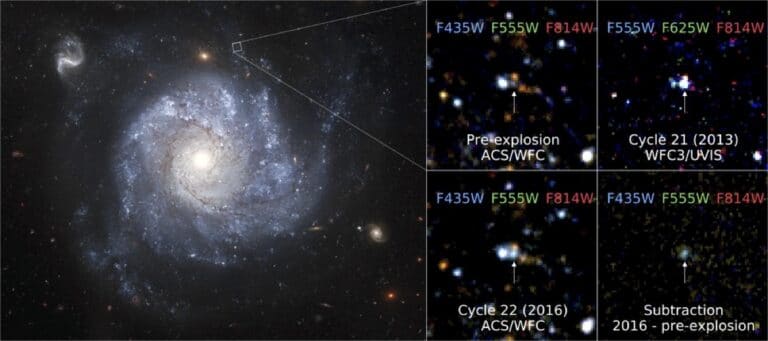 White dwarf survives supernova explosion and becomes brighter than before 2