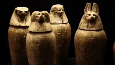 ancient Egyptians used animal fat for the production of hygiene products and cosmetics 1