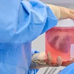 2 more genetically modified pig hearts have been successfully transplanted into humans