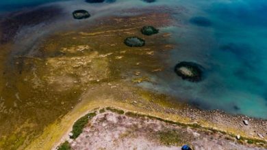 70 percent of the rich ecosystems of the worlds oceans are under threat