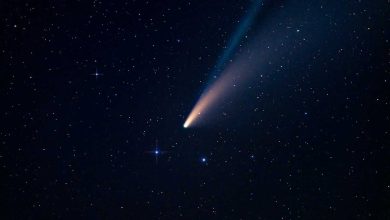 A giant comet flew near the Earth hitting the live broadcast