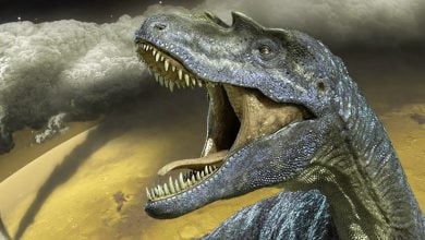 A huge dinosaur was discovered by a ufologist on the moon 1 1