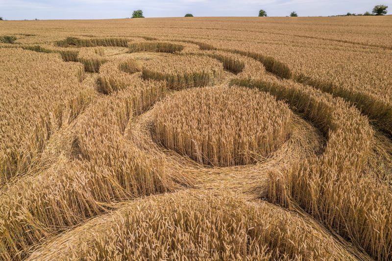 A new pattern on the field appeared in the English county of Hampshire 3