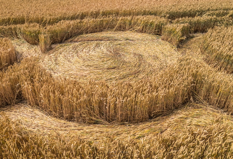 A new pattern on the field appeared in the English county of Hampshire 4