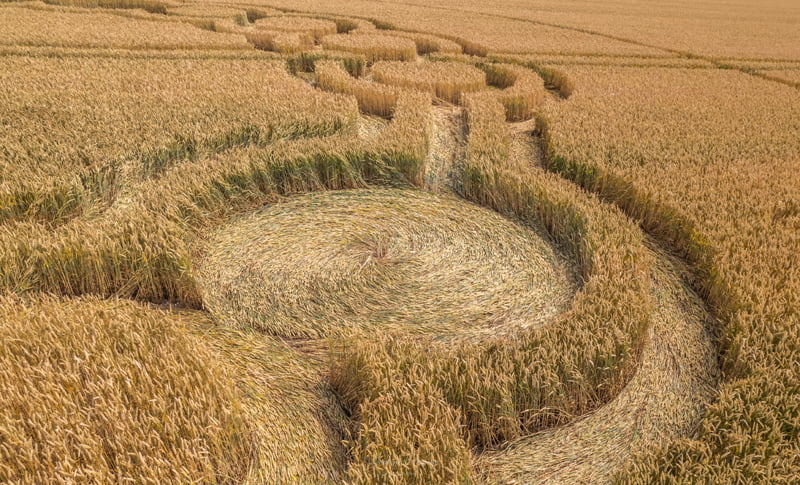 A new pattern on the field appeared in the English county of Hampshire 5
