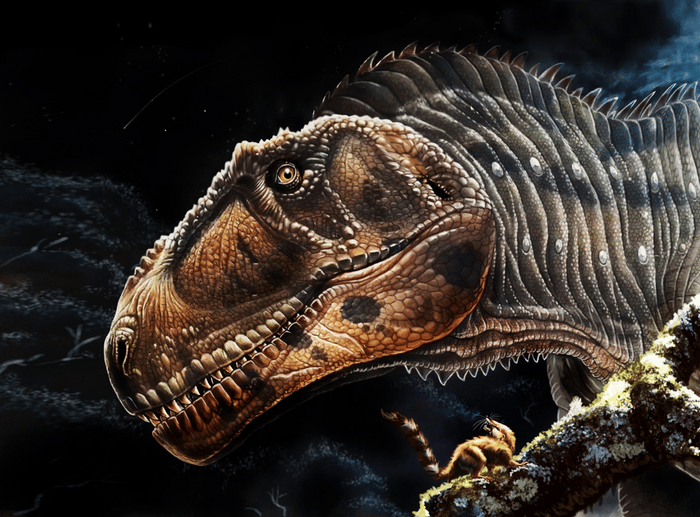 Argentine dragon reveals secrets of Tyrannosaurus rexs tiny front legs