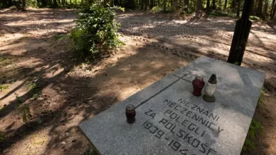 Ashes of 8000 people were found in a mass grave near the Dzialdowo concentration camp in Poland
