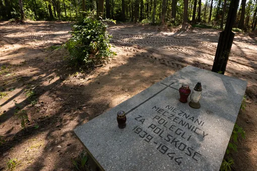 Ashes of 8000 people were found in a mass grave near the Dzialdowo concentration camp in Poland