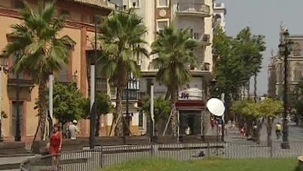 Birds fall to the ground in Spain due to heat