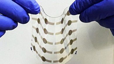 Created artificial muscles that are stronger and more flexible than natural