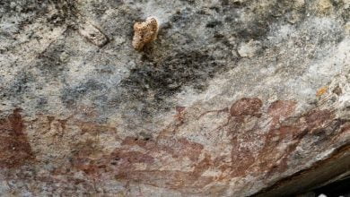 Creepy figures with giant heads found painted in a rock shelter in Tanzania